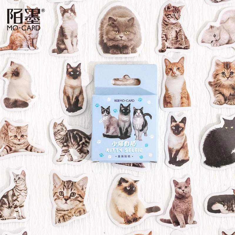 45 adet Kawaii Küçük Kedi DIY Dekoratif Kutulu Etiketler Scrapbooking Etiket Günlüğü Kırtasiye Albümü Telefon Günlüğü Planlayıcısı Sticker